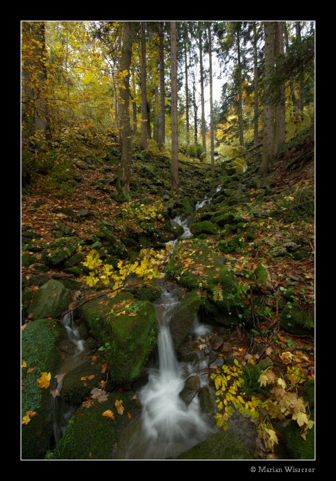 Potok Satina podzimni 07.jpg