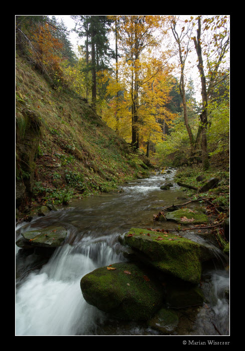 Potok Satina podzimni 02.jpg