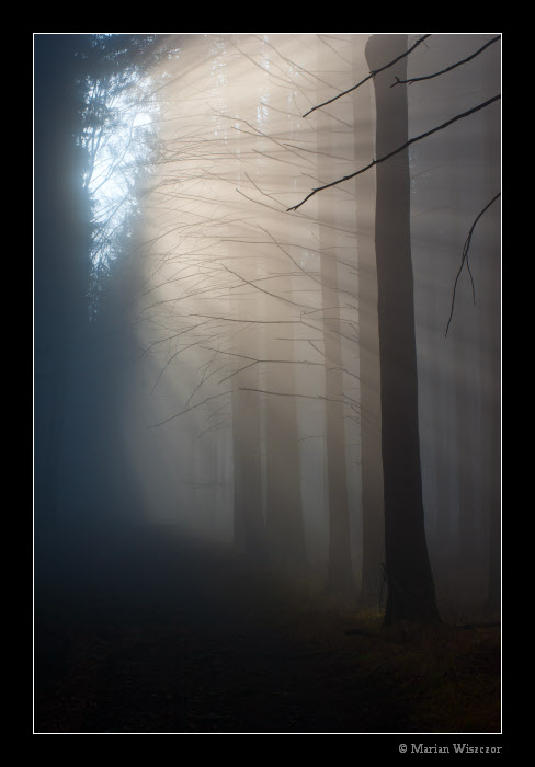 Prusvit 2010_5