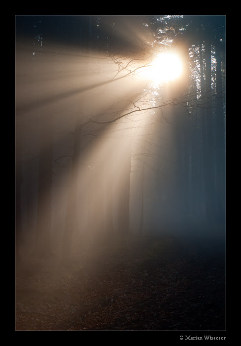 Prusvit 2010_6