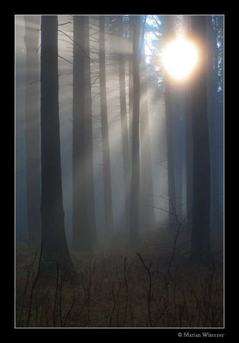 Prusvit 2010_7