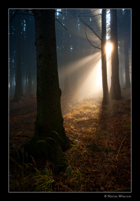 Prusvit 2010_8