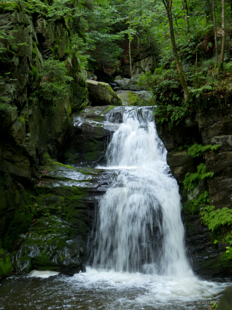 IMG_3887