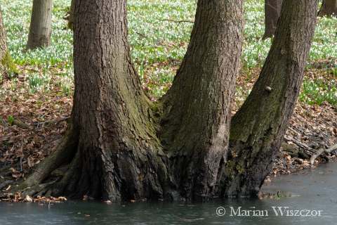 IMGP0885r (1)