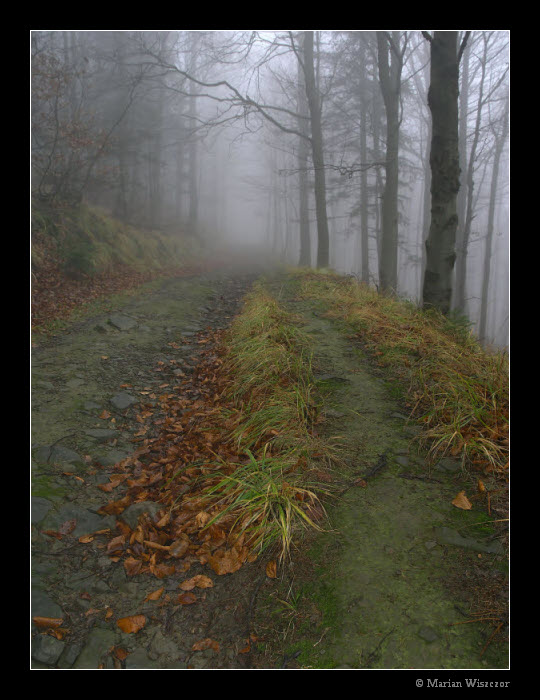 Cesta na Cernavinu 2.jpg