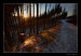 Cesta zimni zapad slunce prusvit lesem_1.jpg