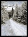 Cesta zimni 2.jpg
